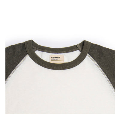 #color_seashell-military-green