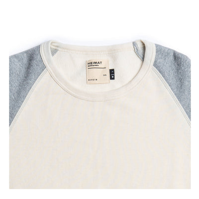 #color_seashell-battleship-grey-contrast